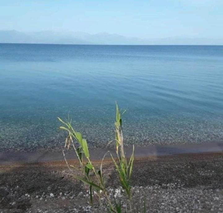 Golden Sea Villa Kalamáta Kültér fotó